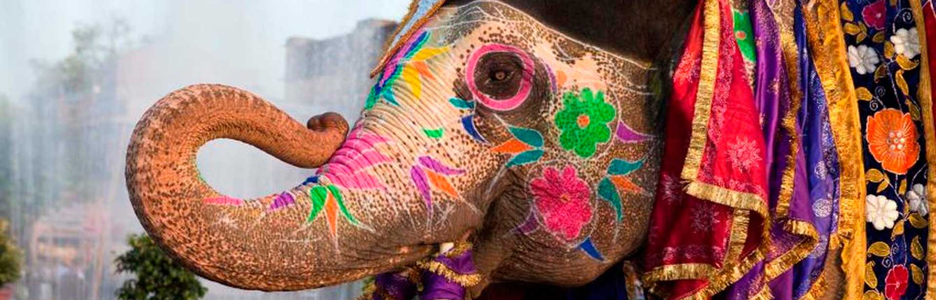 india-tours-jaipur-gangaur-festival.jpg.1340x0_default